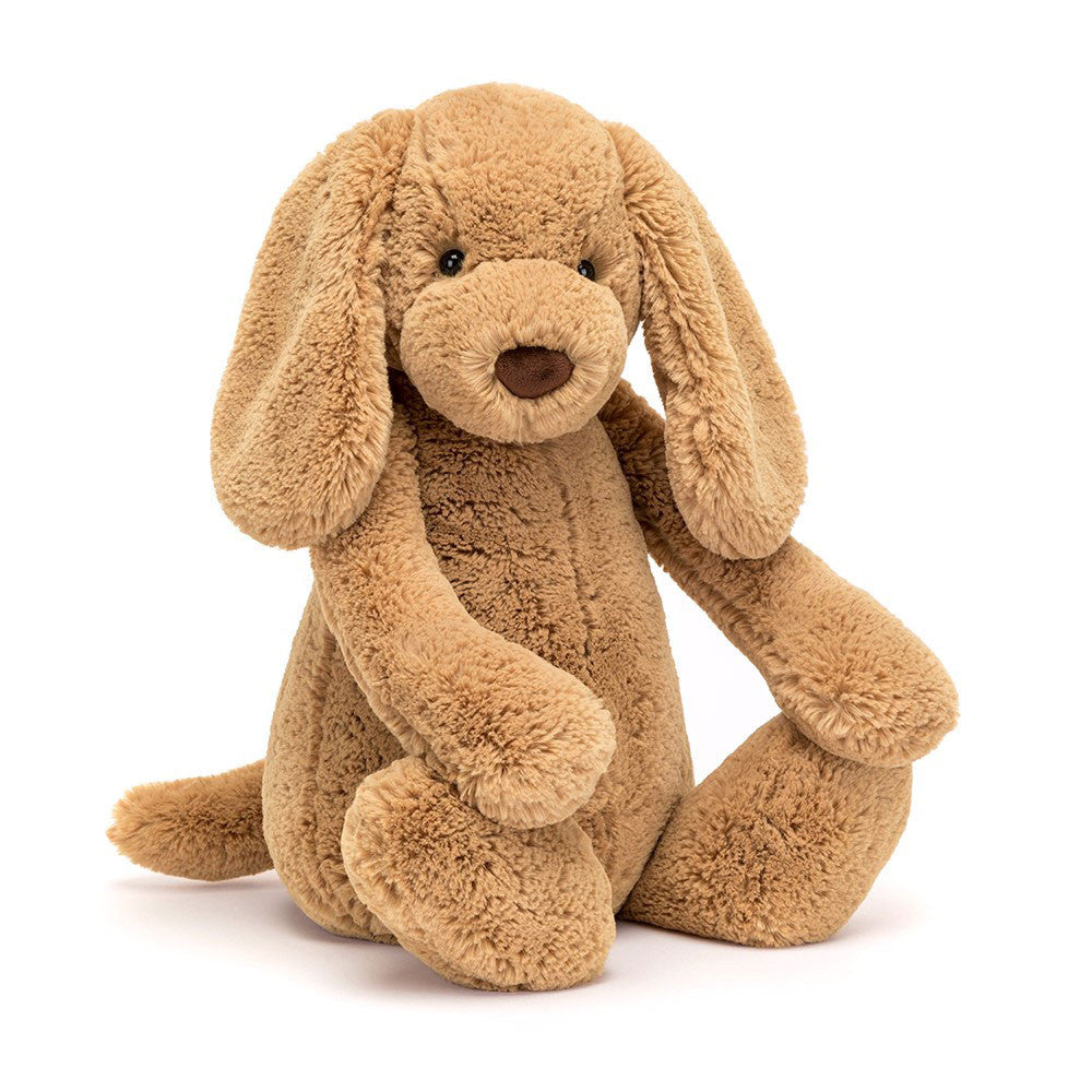 Bashful Toffee Puppy