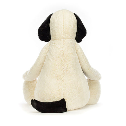 Bashful Black & Cream Puppy