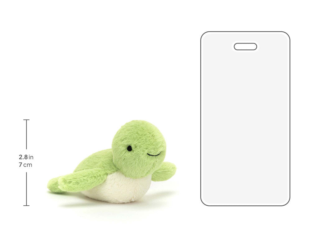 Fluffy Turtle