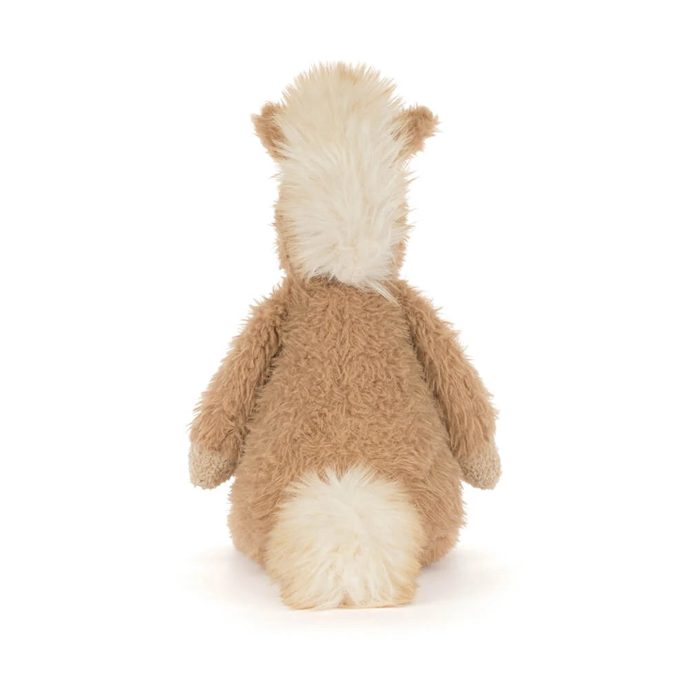 Canterneigh Pony