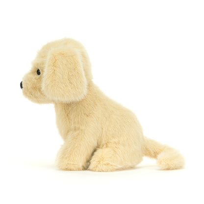 Golden Puppy