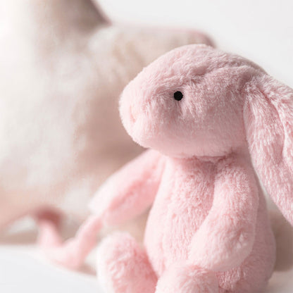 Bashful Bunny Musical Pull