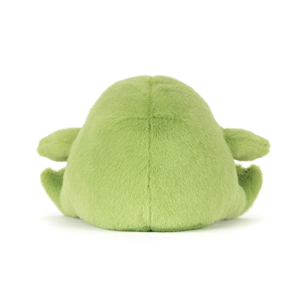 Ricky Rain Frog Smiling